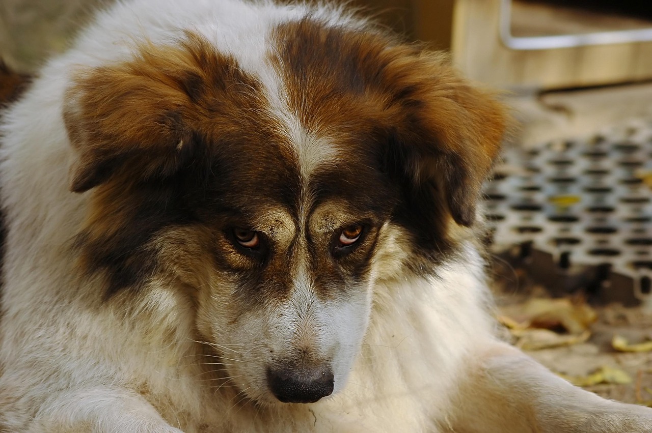 Fda Requirements For Cosmetics: What Every Brand Needs To Know
